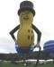 g-nuts