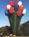 g-tulp