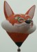Photography: Dutch Balloon Register oe-zox